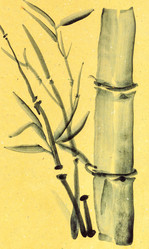 Similar image 16738946