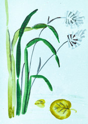 Similar image 16739178