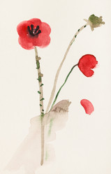 Similar image 16739213