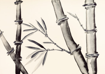 Similar image 16739251