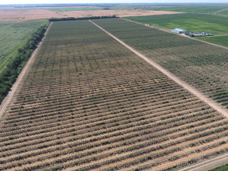 Similar image 17240781