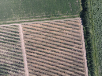 Similar image 17288573