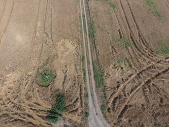 Similar image 17539824