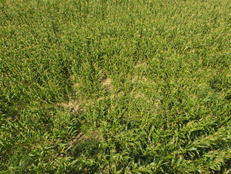 Similar image 17241080