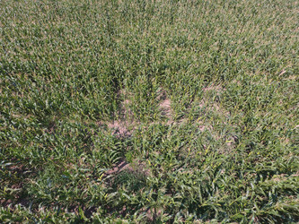 Similar image 17283387