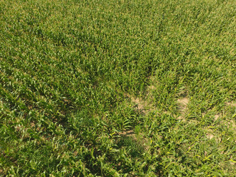 Similar image 17283402