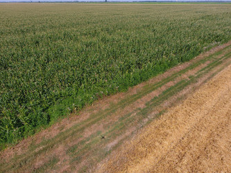 Similar image 17283417