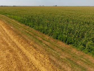 Similar image 17288589