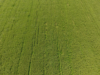 Similar image 17539862