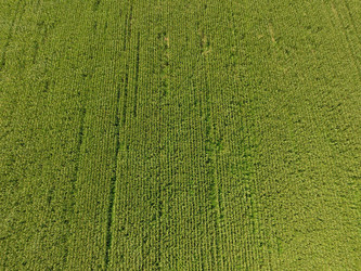 Similar image 17539868