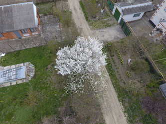 Similar image 17539871