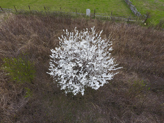 Similar image 17539874