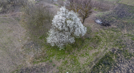 Similar image 17539877