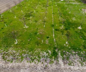 Similar image 17539933