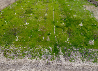 Similar image 17239920