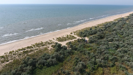 Similar image 17283460