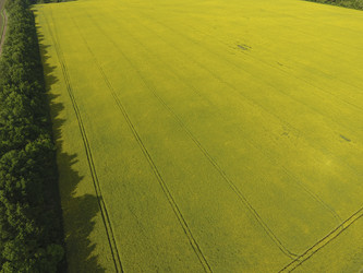 Similar image 17539873