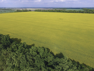 Similar image 16923490