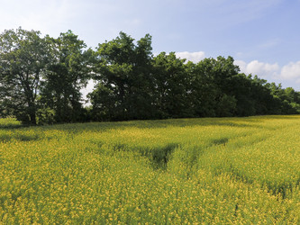 Similar image 17240701