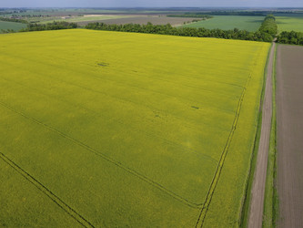 Similar image 17240772