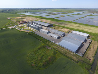 Similar image 17539878