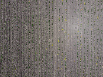 Similar image 17539881