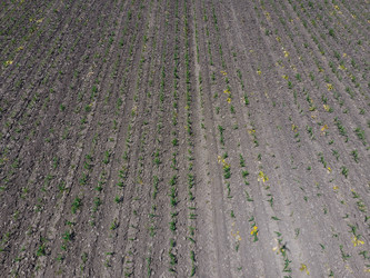 Similar image 17539884