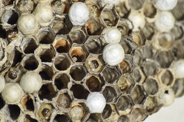 Similar image 17539842