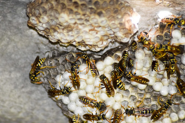 Similar image 17539843