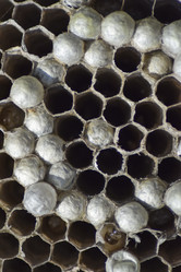 Similar image 17539853