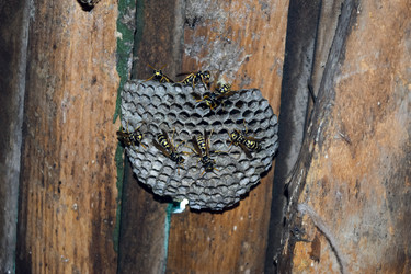 Similar image 17539856