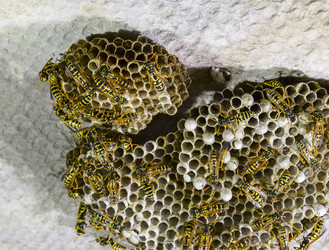 Similar image 17539880