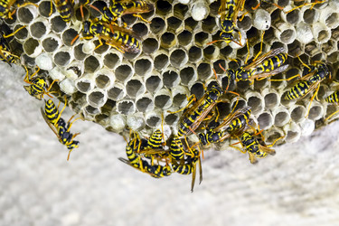 Similar image 17539885