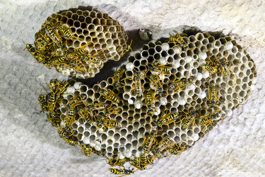 Similar image 17539888