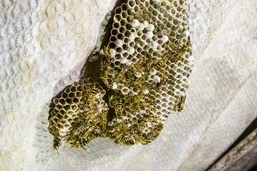 Similar image 17539891