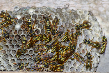 Similar image 17539889