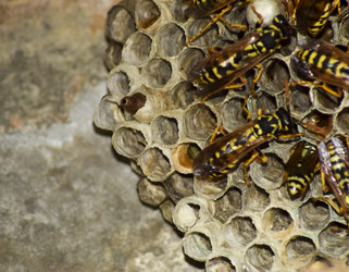 Similar image 17539890