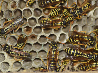 Similar image 17539893