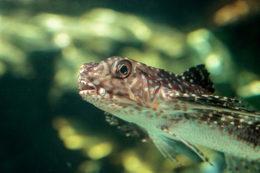 Similar image 16924190