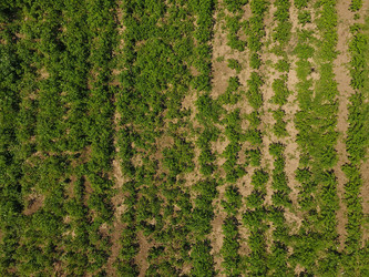 Similar image 17539980