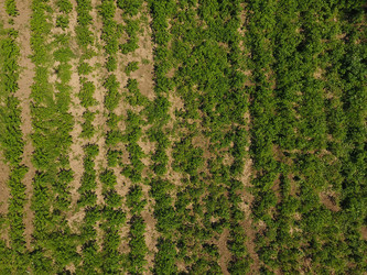 Similar image 17539981