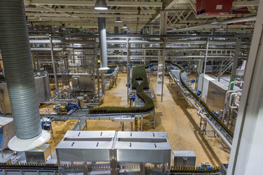 Similar image 16923539