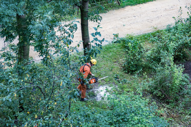 Similar image 16923541