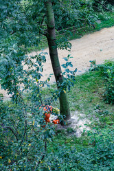 Similar image 16923542