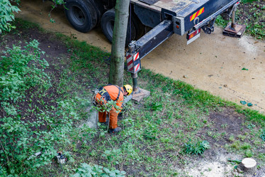 Similar image 16923543