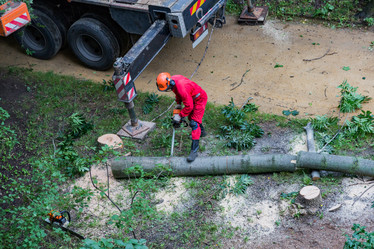 Similar image 16923544