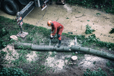 Similar image 16923545