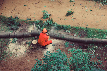 Similar image 16923546