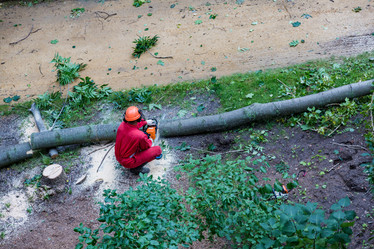 Similar image 16923547