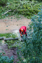 Similar image 16923567